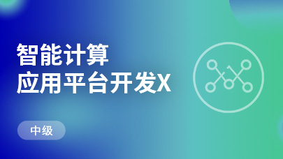 智能计算应用平台开发（中级）