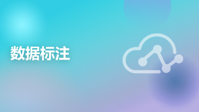 数据标注