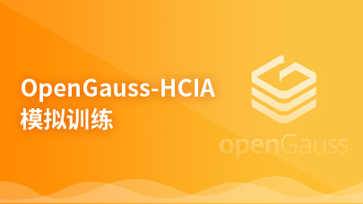 open-Gauss-HCIA模拟训练