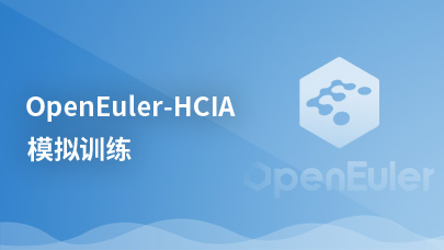 open-Euler-HCIA模拟训练