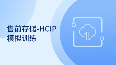 售前存储-HCIP模拟训练